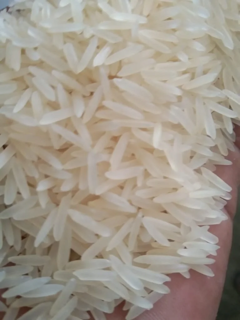 Agro Products