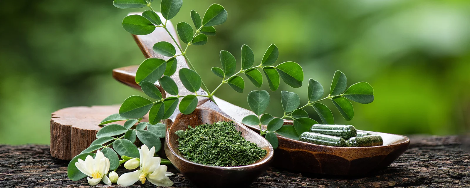 Moringa